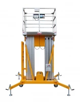 Подъемник одномачтовый GTWY 8-100 T AC&amp;DC, 125 кг, высота подъема 8м SMART