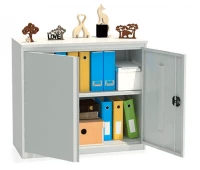 Шкаф металлический архивный ALR 8810 880х1000х450 мм