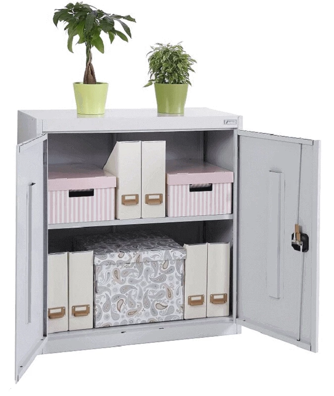 Шкаф металлический архивный ALR 8810 880х1000х450 мм