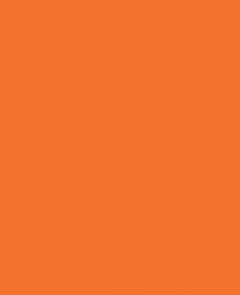 Покраска дверей в RAL 2008 (Ярко-красно-оранжевый) - 1 шт