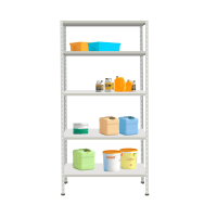 Стеллаж СТ-012 2500х1000х600 с 5 полками до 250 кг